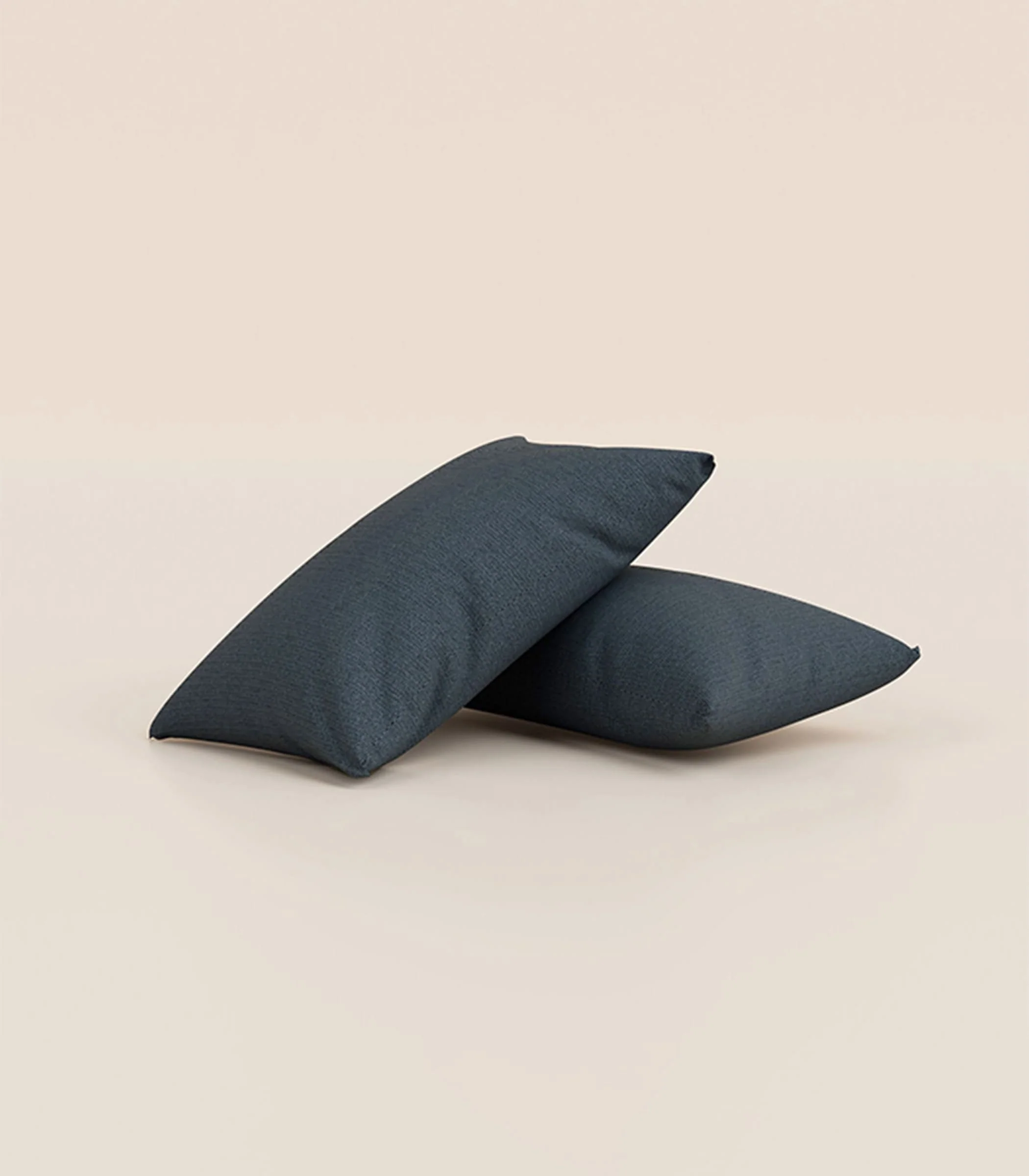 Lot de 2 coussins