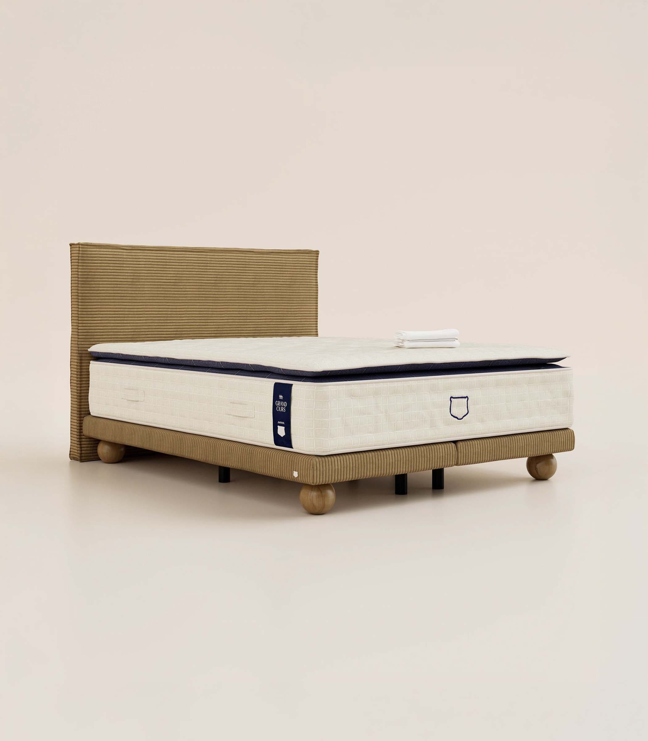 Pack Grand Ours - Image 3